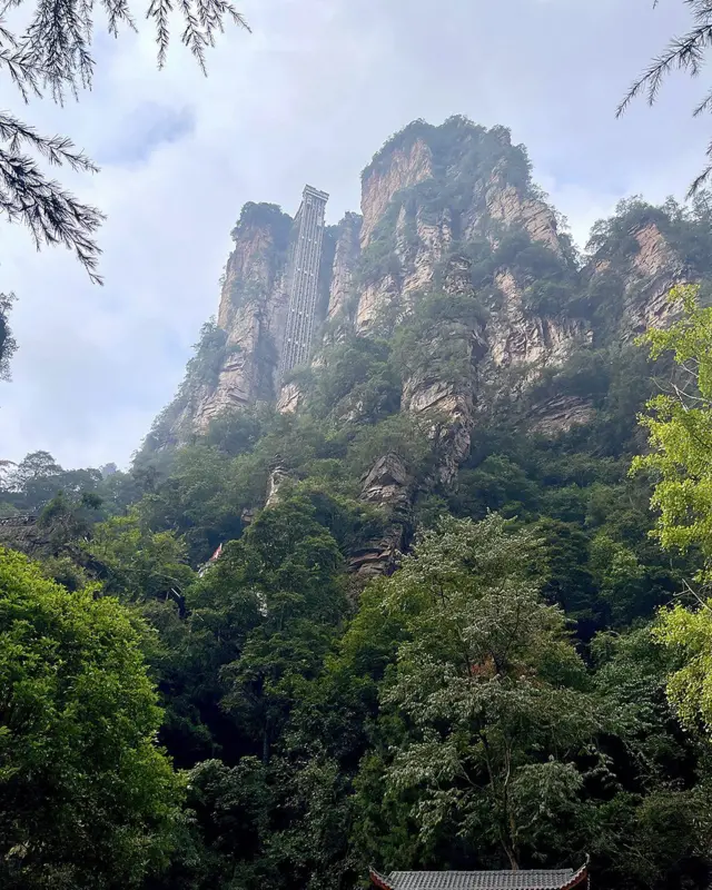 L'ascenseur de Bailong, construit à flanc de montagne, permet de gravir 326 mètres en moins de deux minutes (Source : Charukesi Ramadurai).