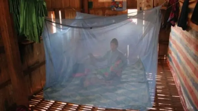 शिशुलाई झुलभित्र सुताइरहेकी महिला