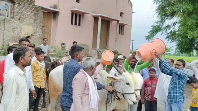 दूध आंदोलन