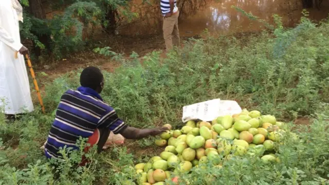 Beeralayda Gaarisa oo khaasaro kasoo gaartay fataahada webiga Tana