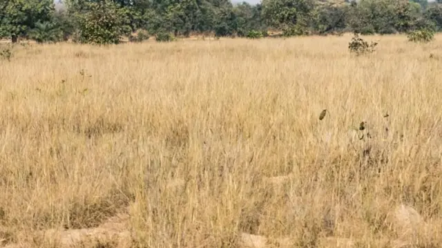 प्रतीकात्मक फोटो
