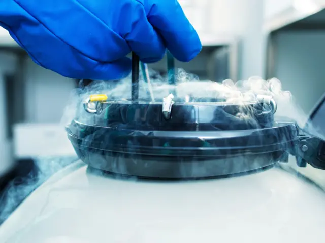 Échantillon de réservoir congelé de sperme.