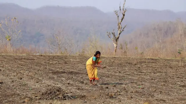 పోడు భూములు