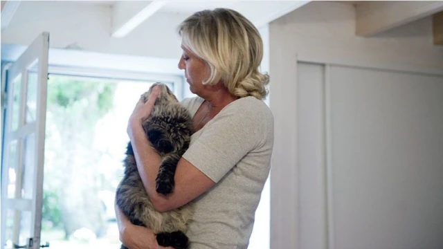 ਹਾਥਰਸ ਹਾਦਸੇ ਤੋਂ ਬਾਅਦ ਸਾਰੇ ਪਾਸੇ ਲੋਕਾਂ ਦੇ ਪਿੱਛੇ ਰਹਿ ਗਏ ਜੁੱਤੇ ਅਤੇ ਚੱਪਲਾਂ ਫੈਲੀਆਂ ਹੋਈਆਂ ਹਨ