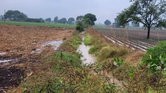 पावसामुळे शेतात साचलेलं पाणी 