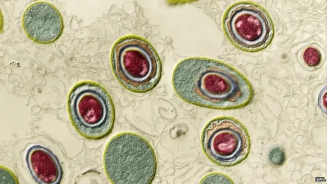 జీవాయుధాలు