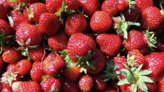 স্ট্রবেরি