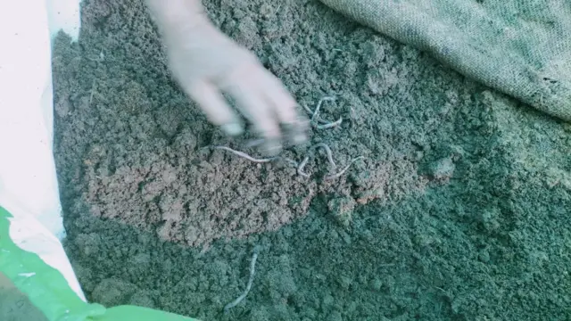 પ્રાકૃતિક ખેતી અને નવી રીતો અજમાવવાની તેમની શરૂઆત સરળ રહી નહોતી