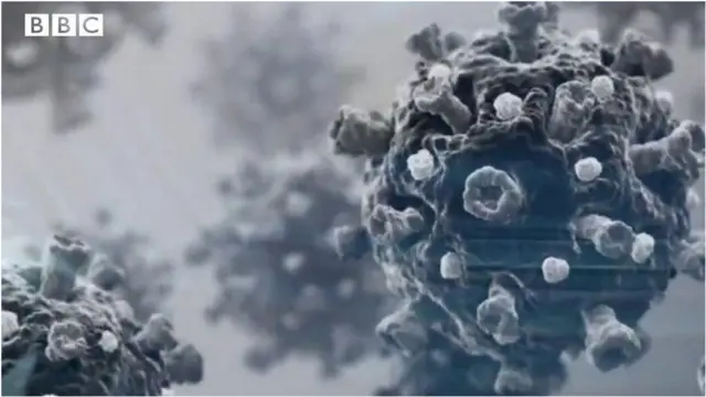 कोरोना व्हायरस