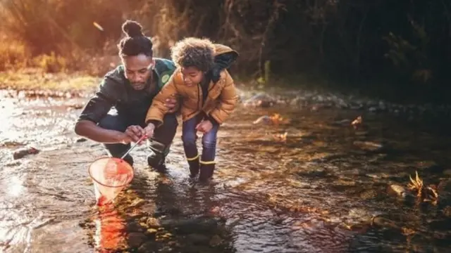 સાંકેતિક તસવીર