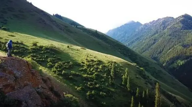 Жетим-Тоого жакын аймак, Нарын