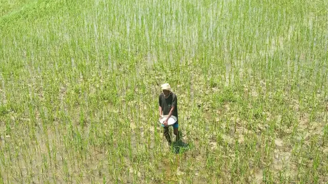 रासायनिक मल