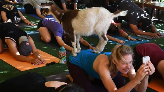 Akuyar Najeriya a Amurka