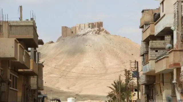 पल्माइरा