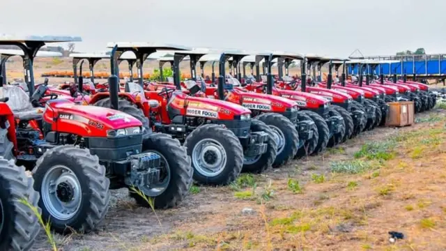 Katakata eto ọgbin