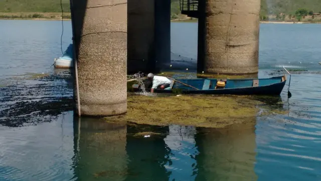 Pescadores da região foram chamados para retirar plantas do rio