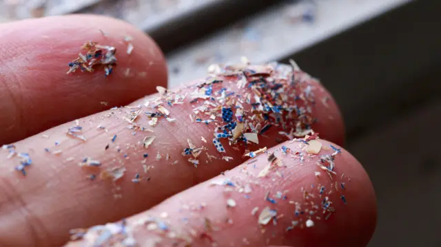 மைக்ரோ பிளாஸ்டிக் துகள்கள்