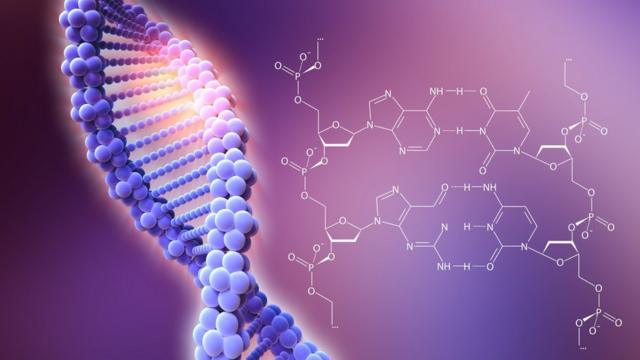 CRISPR-Cas9 基因编辑技术示意图
