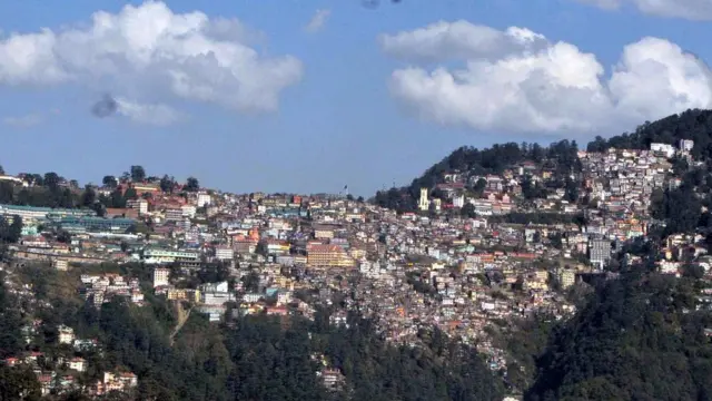 बंदर, वर्मिन, विनाशक, हिमाचल प्रदेश, शिमला, बंदर वर्मिन या विनाशक घोषित