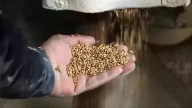 સિંગાપોરમાં ખાદ્યપદાર્થોની અછત