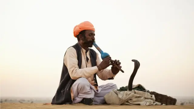 बायकोला 'साप सोडून' मारण्याचा नवा ट्रेंड, केरळमधली धक्कादायक घटना