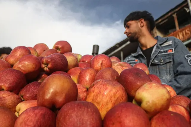 ஆப்பிள், பழங்கள், உடல்நலம், ஆரோக்கியம், அறிவியல்
