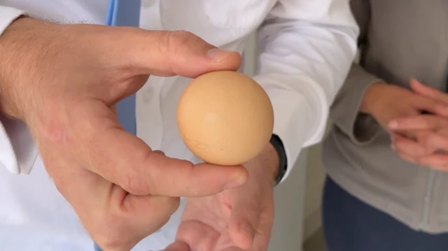 Un hombre sostiene un huevo esférico entre el pulgar y el índice. Otra persona está de pie cerca, con las manos sobre el estómago y los dedos entrelazados.