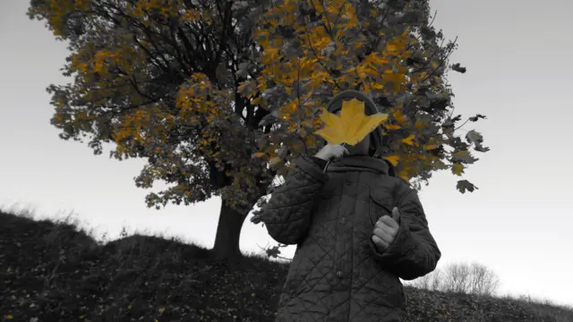 "Оттенки осени"