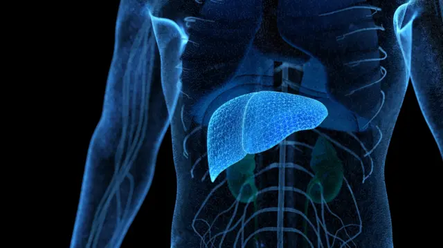 'ब्रिटिश लिव्हर ट्रस्ट' असं सांगतो की, यूकेमध्ये हजारो लोक यकृताच्या दुर्मिळ आजारांनी ग्रस्त आहेत. 