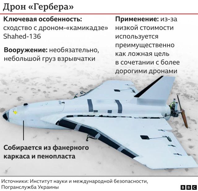 Российский дрон "Гербера": особенности, вооружение и применение - рисунок