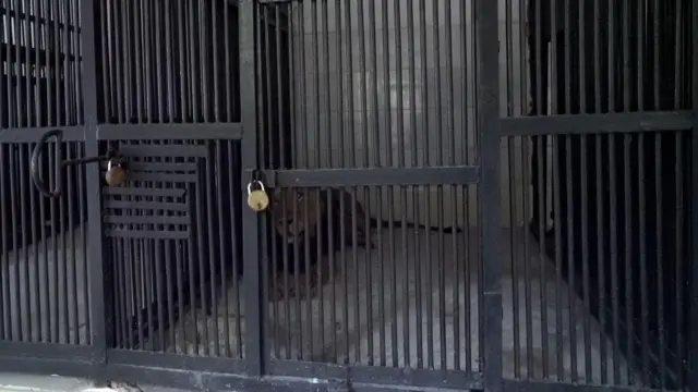 తిరుపతి జూ పార్క్