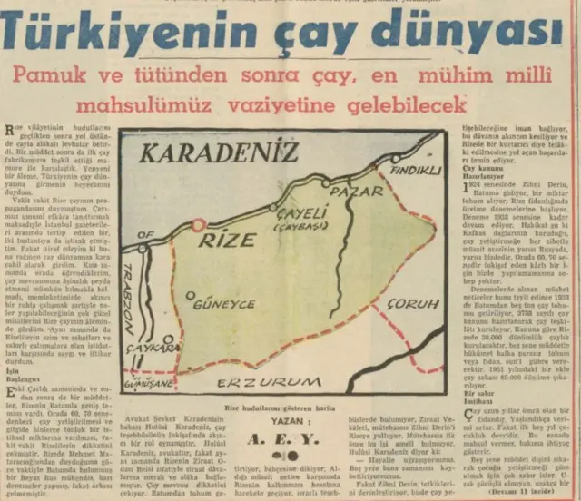 Vatan gazetesinin 1952'de verdiği Rize ekinde bölgedeki çay üretimine geniş yer veriliyor. 