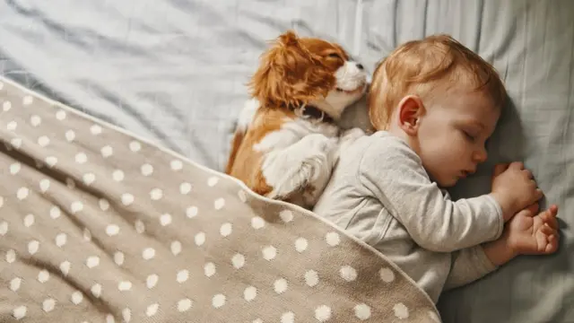 Bebê dormindo com cachorro do lado