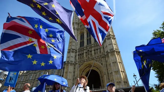 英国反对脱欧人士在议会附近举行抗议示威