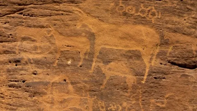 Des fresques murales dans une grotte.