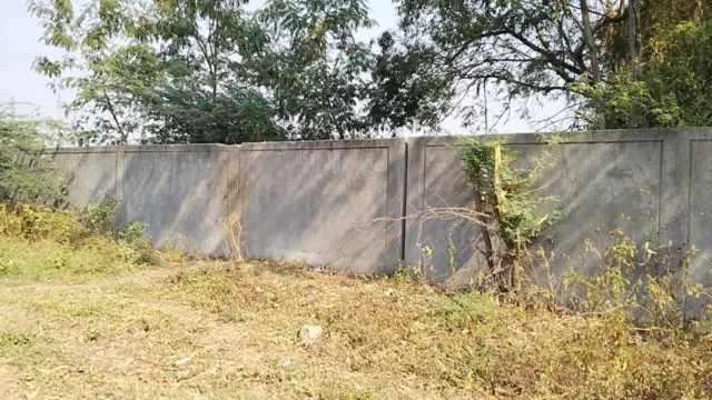 ભરૂચ, ઝઘડીયા, બળાત્કાર, ગુજરાત, દુષ્કર્મ, મહિલા, નારી, બેટી બટાવો, ઝારખંડ