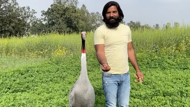 মোহাম্মদ আরিফ ও তার সারস বন্ধু 