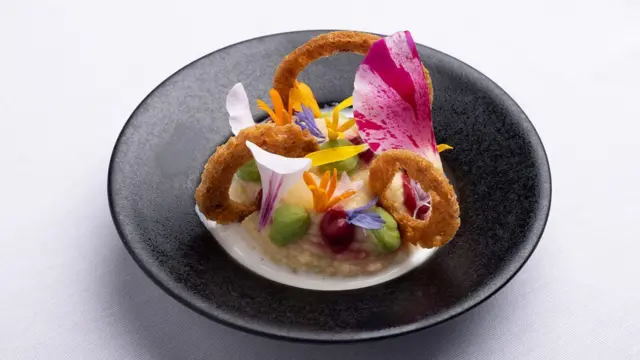 అలెగ్జాండర్ మజియా