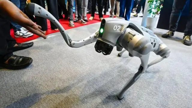 ગલગોટિયા યુનિવર્સિટી, ચાઇનીઝ રોબો ડૉગ વિવાદ, એઆઇ ઇમ્પેક્ટ સમિટ, સોકર ડ્રોન વિવાદ, બીબીસી ગુજરાતી ઇન્ટરનેશનલ ન્યૂઝ 