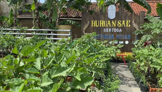 Buruan SAE Padepokan Hegar Panyileukan