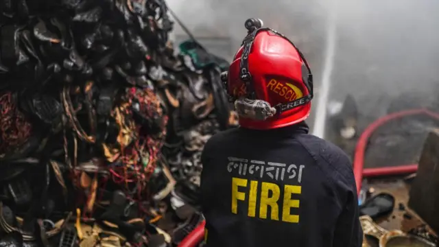 Katta eshaklarda katta siklar