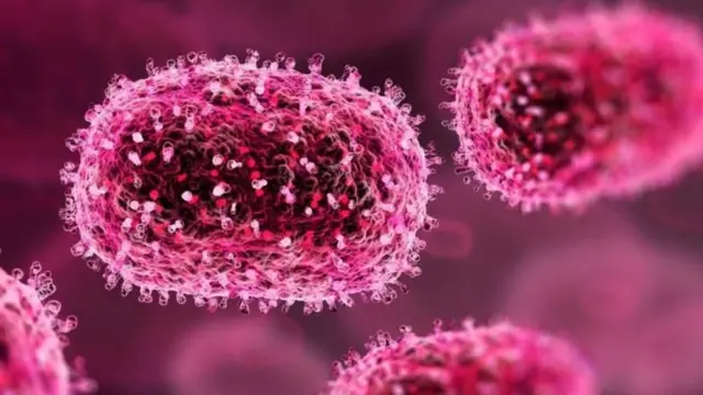 హెచ్‌ఎంపీవీ కేసులు 