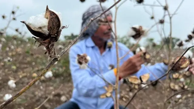 ભારતનું બજેટ 2026-27, નિર્મલા સીતારમણ, બજેટ કેવું હશે, નિર્મલા સીતારમણ, રવિવારે બજેટ, બજેટમાં કોને શું મળ્યું, બજેટમાં ક્યાં ખર્ચ થશે, ઇન્કમટેક્સમાં ફેરફાર, શું મોંઘું થયું તથા શું સસ્તું, બીબીસી ગુજરાતી