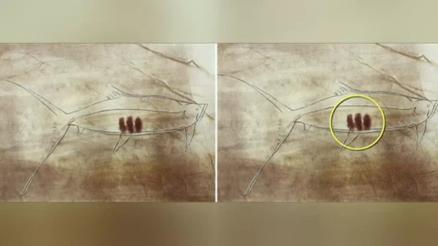 نقش و نگاری از ماهی با علائمی که برای ثبت چرخه زادآوری بوده