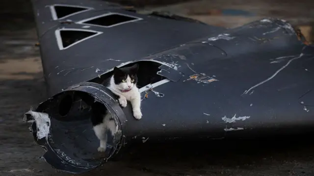 Bisad ayaa dul saaran burburka diyaarad Drone-ka ee Shahed taas oo ay ku soo rideen difaaca hawada Ukraine xaafad ka tirsan magaalada Kharkiv.
