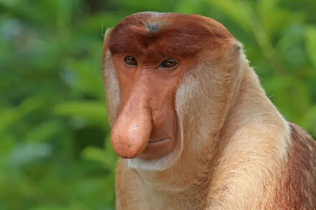 ,