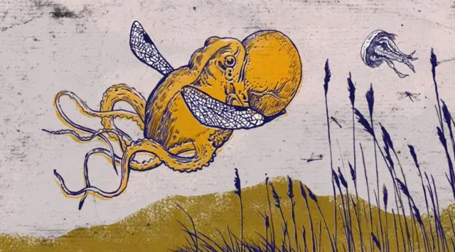 Da li bi žabe mogle da plutaju vazduhom i da postanu ,,cepelinoidi"?