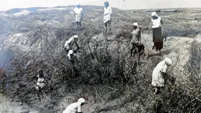 Камыштарды оруп, каналдын жээгин тазалап жаткан орус аялдар. Курулуш жүрүп жаткан жылдары алардын көбү безгек менен ооруп, көз жумган. Вахш өрөөнү, 1937-жыл.