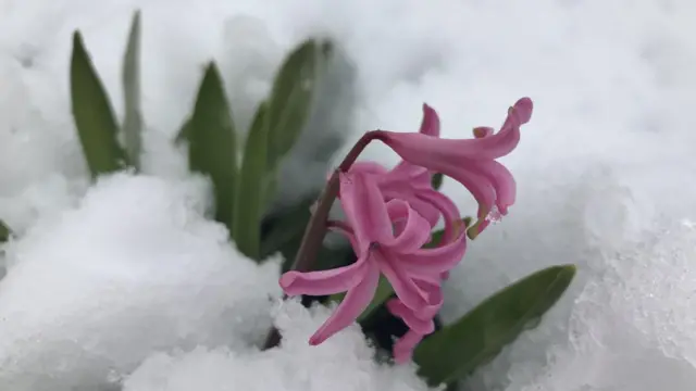 Дніпропетровська область