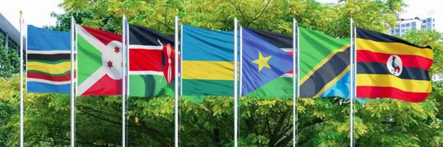 Calamada dalalka hadda xubnaha ka ah